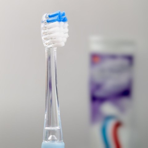 ELDOM 2x KOŃCÓWKA DO SZCZOTECZKI SD50 ELDOM ELDOM 2x KOŃCÓWKA DO SZCZOTECZKI SD50 ELDOM