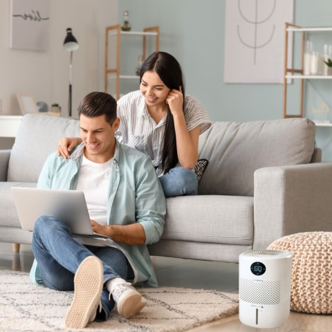 WEBBER Nawilżacz powietrza ewaporacyjny Webber HH1002