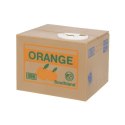 Iso Trade Skarbonka na baterie - kotek 22468