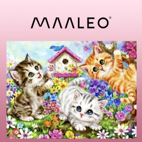 Maaleo Malowanie po numerach 40x50cm- kotki Maaleo 22781 Maaleo Malowanie po numerach 40x50cm- kotki Maaleo 22781