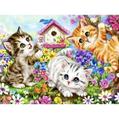 Maaleo Malowanie po numerach 40x50cm- kotki Maaleo 22781 Maaleo Malowanie po numerach 40x50cm- kotki Maaleo 22781