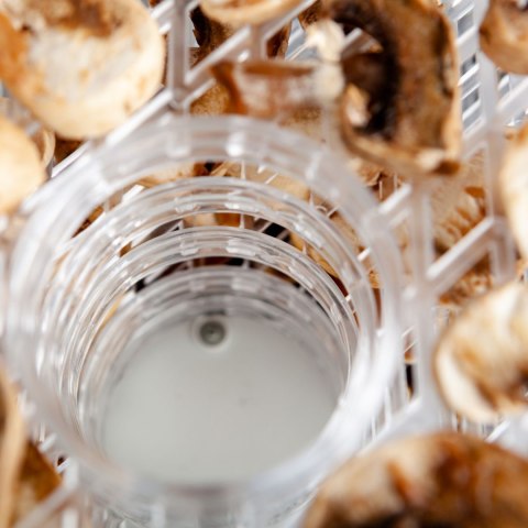 ELDOM Suszarka do grzybów, owoców SG500