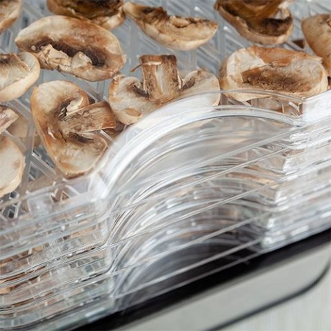 ELDOM Suszarka do grzybów, owoców SG500