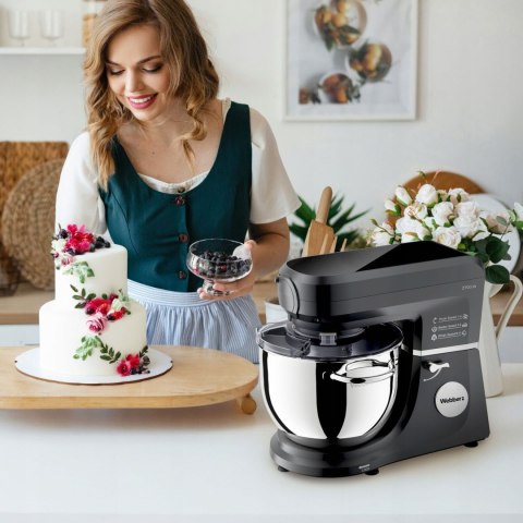 WEBBER Robot planetarny Webber MODERN SM17