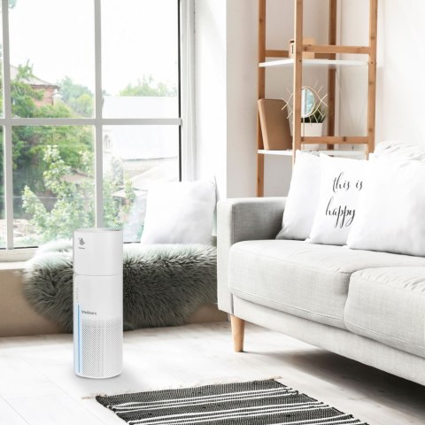 WEBBER Oczyszczacz powietrza nawilżacz Webber AP8250 WIFI