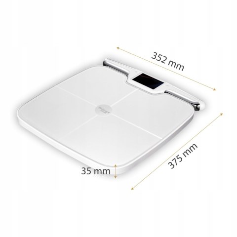 Webber Med Waga Łazienkowa LIORA PS577
