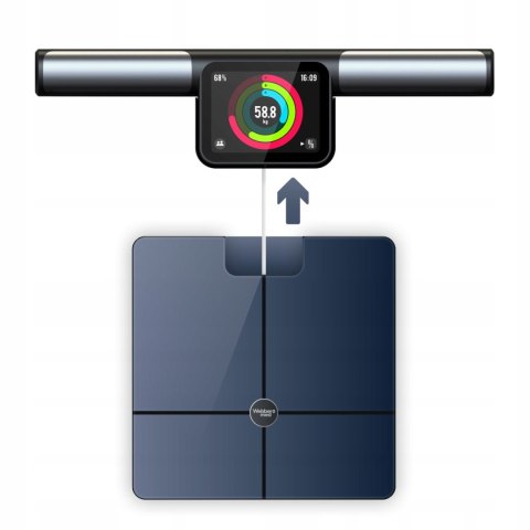 Webber Med Waga Łazienkowa SIENA PS636C