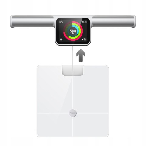 Webber Med Waga Łazienkowa SIENA PS636