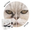 Eye Envy Cat Starter Kit – zawartość zestawu do pielęgnacji okolic oczu kota