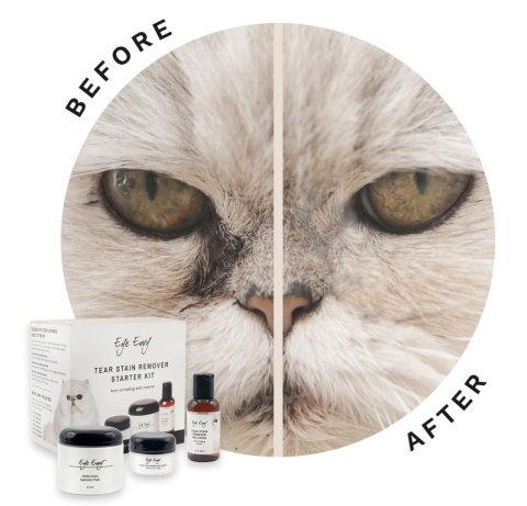 Eye Envy Cat Starter Kit – zawartość zestawu do pielęgnacji okolic oczu kota