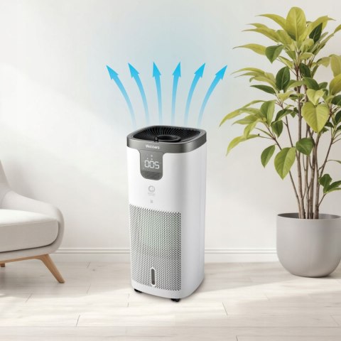 Oczyszczacz powietrza Webber APEH11003 – tylny wylot powietrza