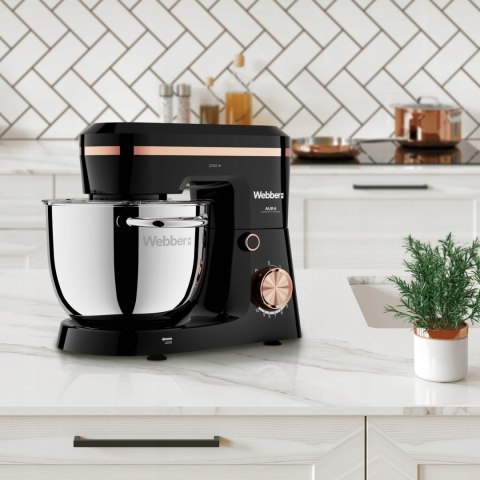 WEBBER Robot planetarny Webber AURA SM15