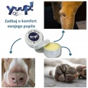 YUUP! Paw Balm 40 g – zimowy balsam ochronny do łap i nosa psa i kota