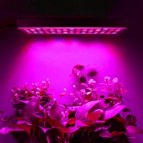 Gardlov Lampa/ panel 225 LED do wzrostu uprawy rośl. 23525 Gardlov Lampa/ panel 225 LED do wzrostu uprawy rośl. 23525