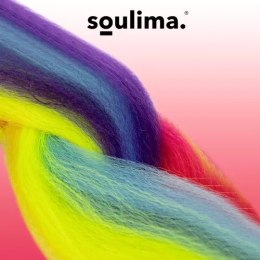 Soulima Włosy syntetyczne warkoczyki tęczowe Soulima 23571