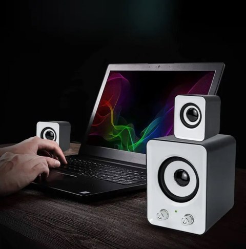 ZS35B Głośniki 2.1 zasilane z usb białe ZS35B Głośniki 2.1 zasilane z usb białe