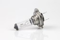 Żarówka halogenowa h7 12v 55w filtr uv (e8) amio-01156