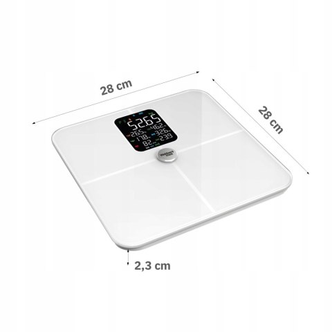 Webber Med Waga Łazienkowa Analityczna 16 Parametrów Apple Health, Google Fit, IF1321B Webber Med Waga Łazienkowa Analityczna 16 Parametrów Apple Health, Google Fit, IF1321B