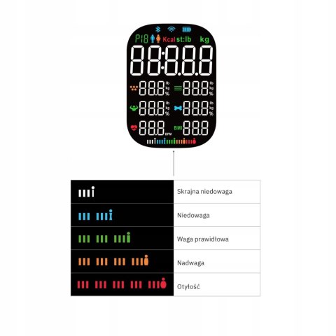 Webber Med Waga Łazienkowa Analityczna 16 Parametrów Apple Health, Google Fit, IF1321C Webber Med Waga Łazienkowa Analityczna 16 Parametrów Apple Health, Google Fit, IF1321C