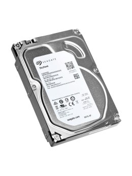 Dysk do monitoringu Seagate SkyHawk 1TB