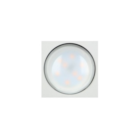 BARBRA DLS GU10 downlight max 50W, IP20, kwadrat, biały, aluminium BARBRA DLS GU10 downlight max 50W, IP20, kwadrat, biały, aluminium