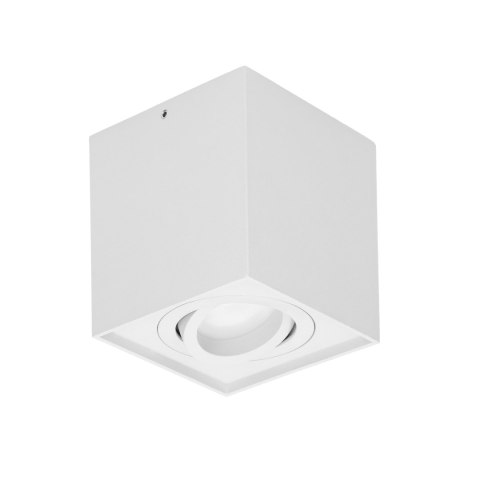 CAROLIN DLS GU10 downlight max 35W, IP20, kwadrat, biały CAROLIN DLS GU10 downlight max 35W, IP20, kwadrat, biały
