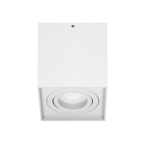 CAROLIN DLS GU10 downlight max 35W, IP20, kwadrat, biały CAROLIN DLS GU10 downlight max 35W, IP20, kwadrat, biały