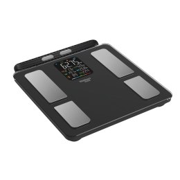 WEBBER Waga Łazienkowa Analityczna 15 Parametrów Apple Health, Google Fit, IF2825A