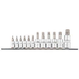 Bity Torx na nasadce 1/4