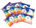 Holi Cow Kolorowy proszek Holi- zestaw 10x100g